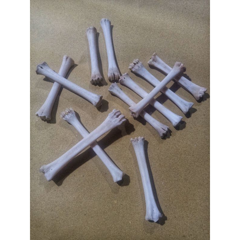 Tulang Baphomet #63547666