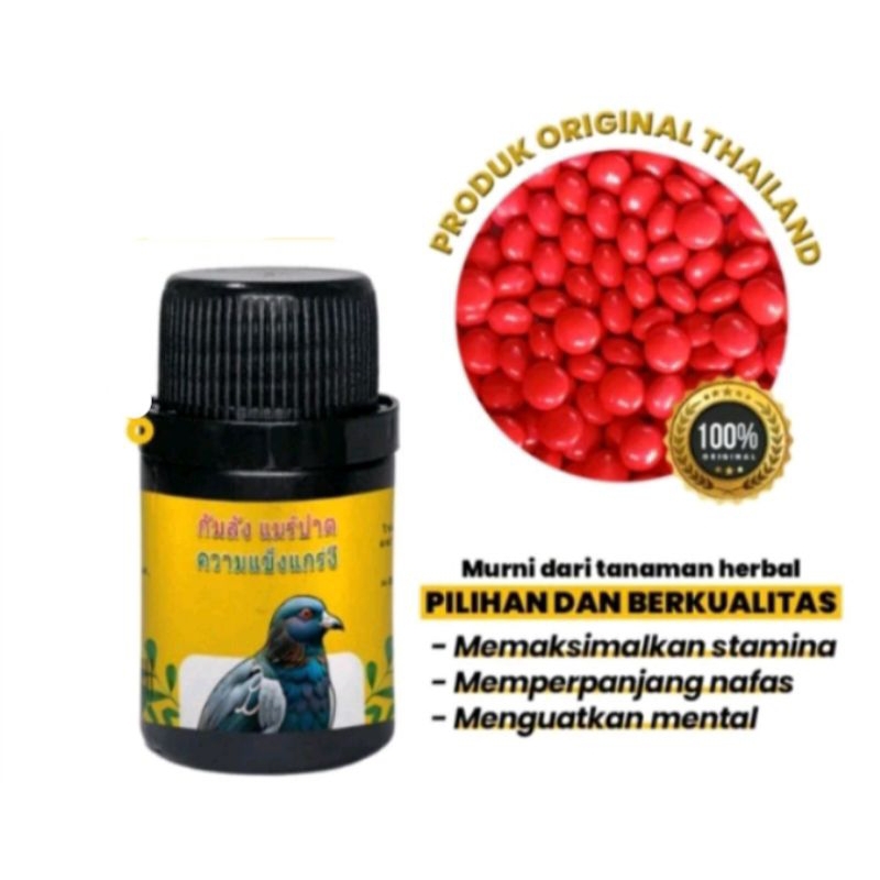 Kamlang Merpati Original Thai Suplemen vitamin burung merpati balap/pos/kolong 50tablets