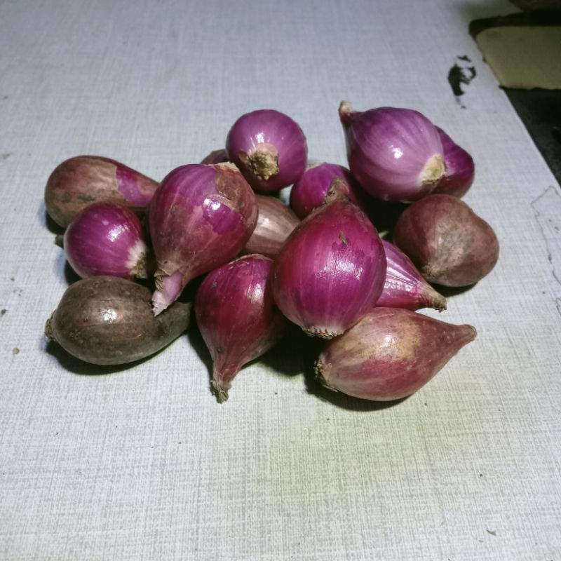 

bawang merah / bawang merah murah / bawang merah super desar