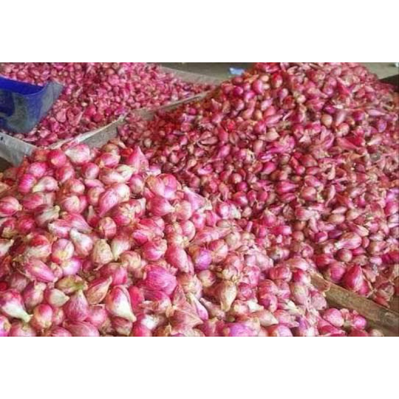 

Bawang Merah Kering KECIL Asli BREBES 1 kg