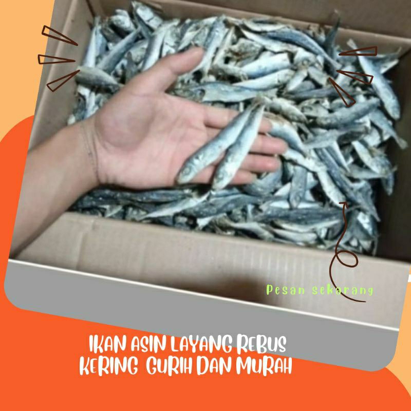 IKAN ASIN LAYANG REBUS KERING GURIH MURAH
