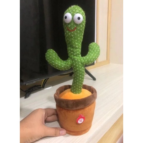 mainan anak kaktus goyang