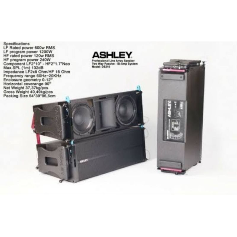 ASHLEY DS210 PASIF SPEAKER LINE ARRAY HARGA UNTUK /1 UNIT