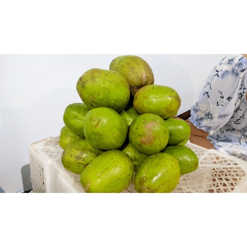 

kedondong bangkok 1kg rujak