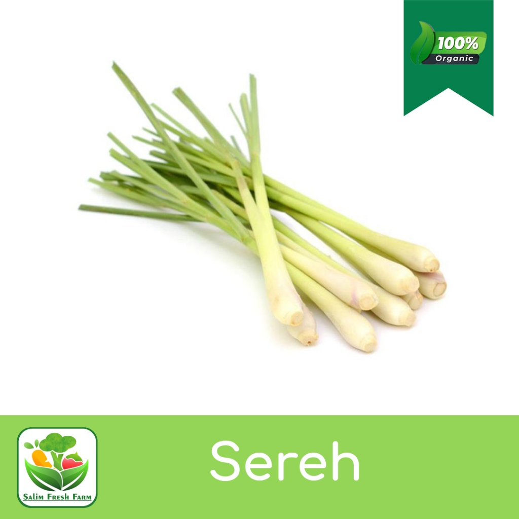 

Sereh segar/Sereh 1kg/Sereh wangi/Sereh kunyit jahe