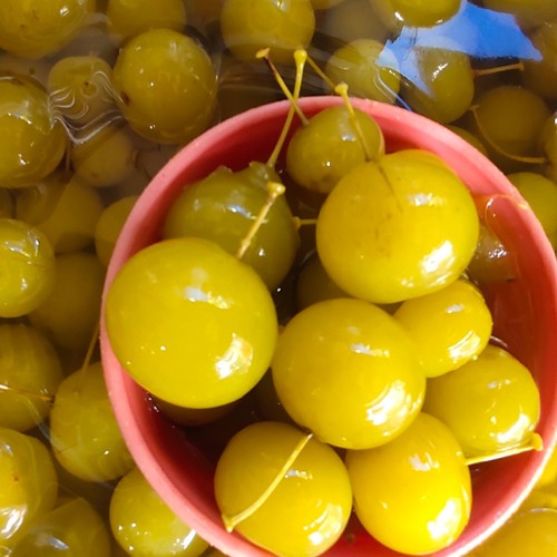 

Manisan Buah Anggur Bogor Basah 1 Kg