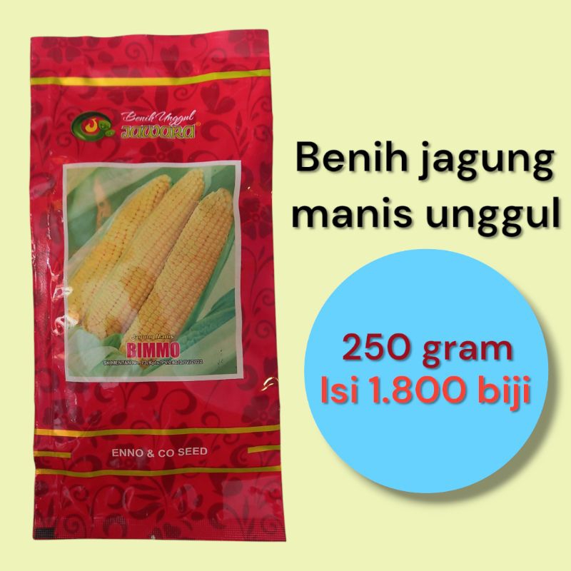 

Benih jagung manis unggul 250 gram isi 1.800 biji benih