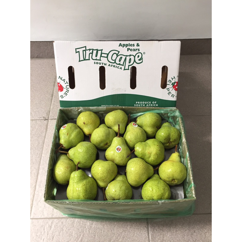

Buah Pear Pir Packham Tru Cape 1 Dus (12.5 Kg) Fresh Import