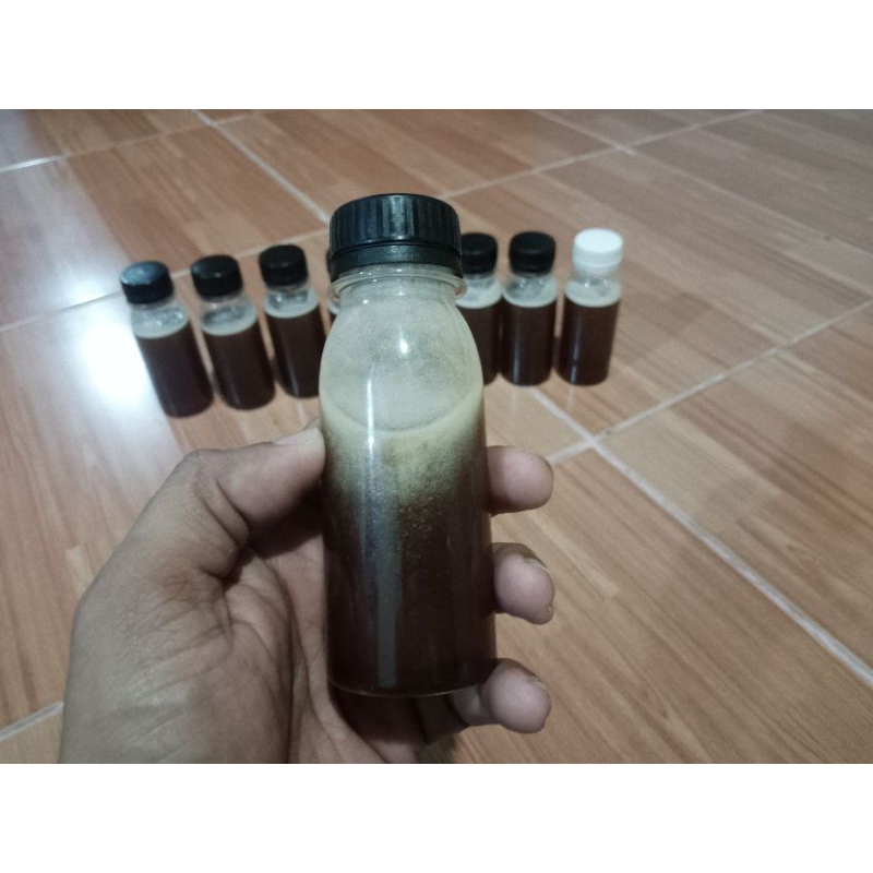 

Madu Pahit 250ml Klanceng Trigona Itama Langka Stok Terbatas Murni 100% Asli Hutan Kalimantan