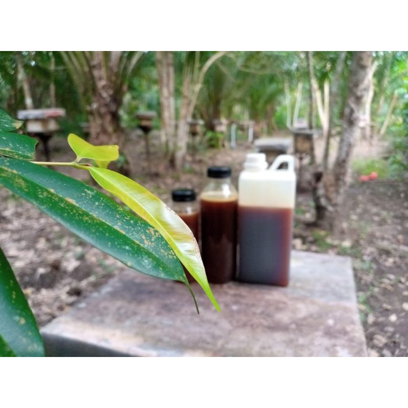 

Madu Pahit (500ml) Murni 100% Kelulut Klanceng Trigona Itama Langka Stok Terbatas Asli Hutan Kalimantan