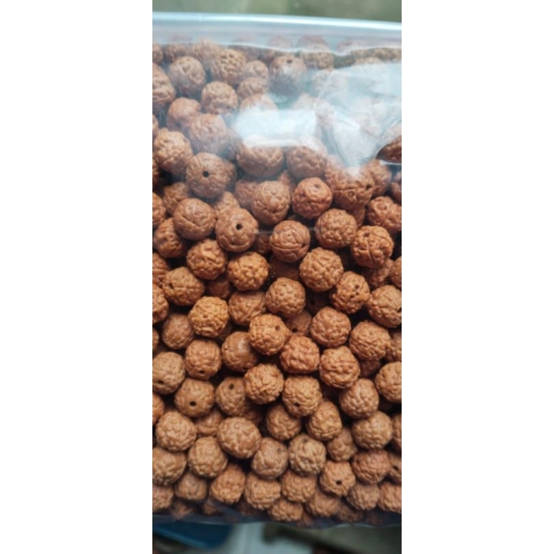 Jenitri Rudrakhsa kecil 11 mili satu pak 1000 butir sudah berlobang