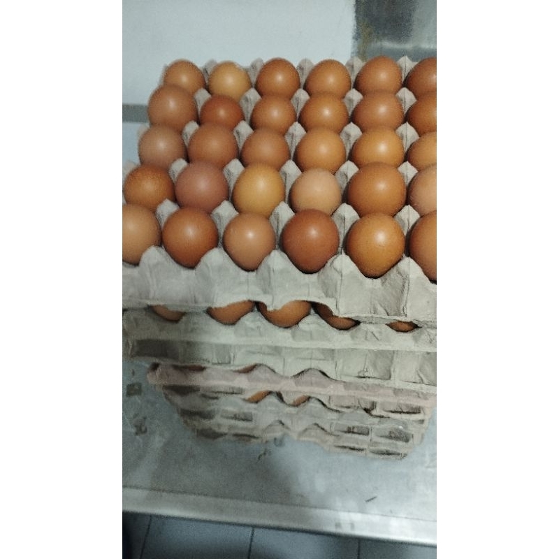 

telur ayam negeri 1 tray/karpet