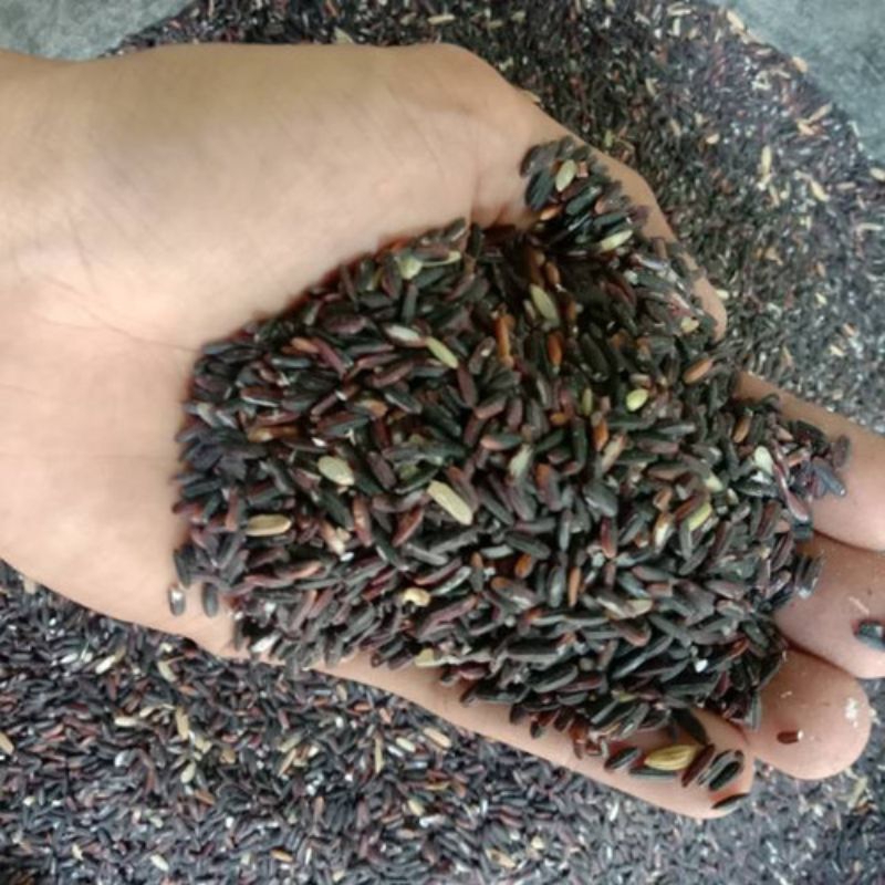 

BERAS KETAM HITAM/KETAN ITEM 1KG