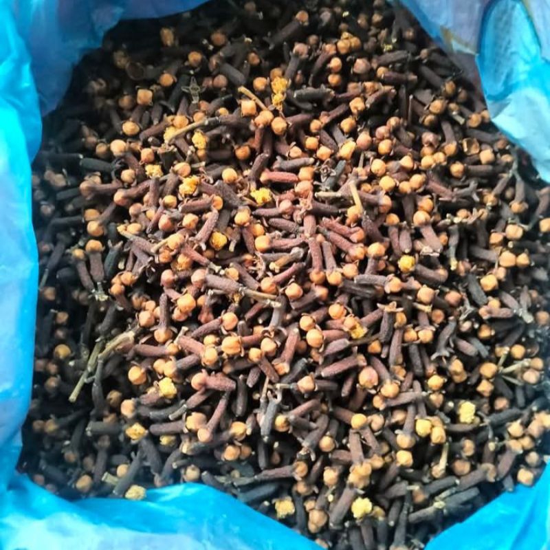 

Cengkeh / cengkih kering 100gr