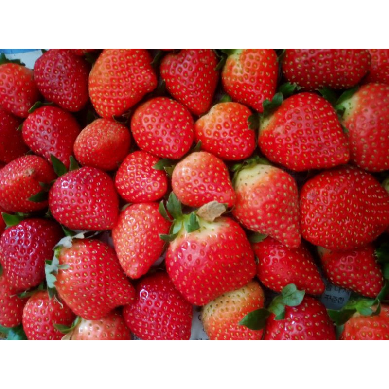 

Strawberry Sumbar