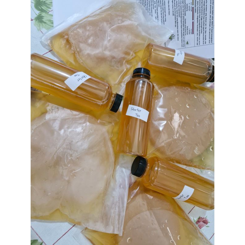 

Kiell's - PROMO Kombucha / Scoby Tebal Starter Set