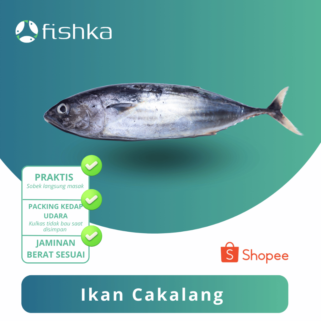 

Ikan Cakalang / Cakalang Segar