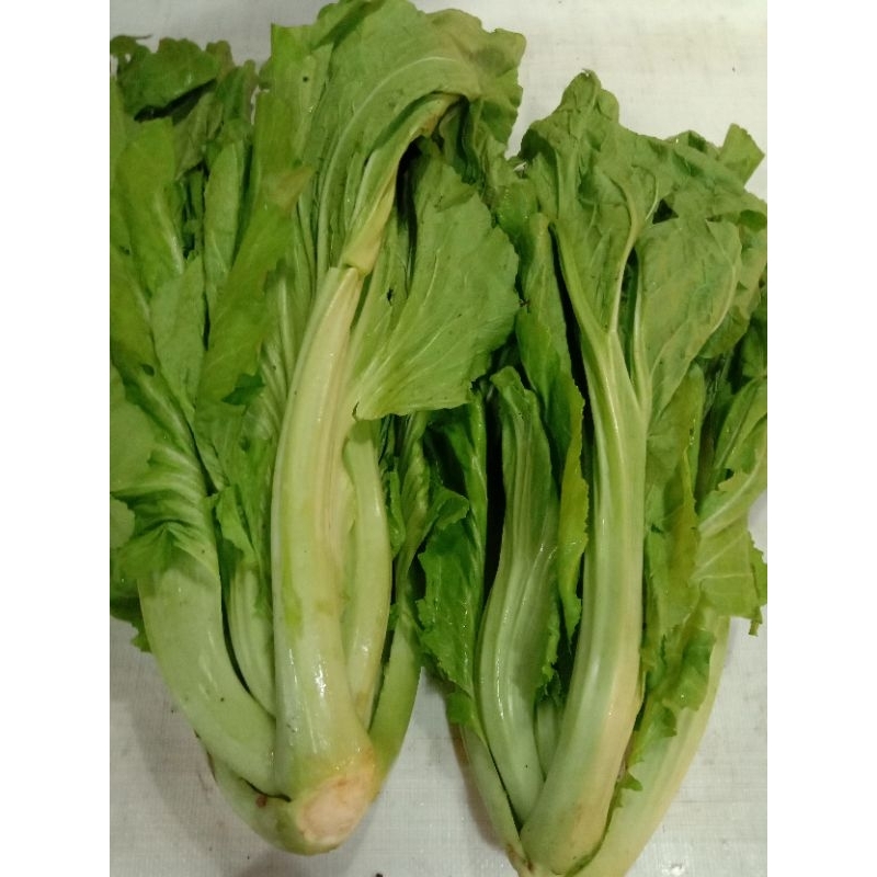 

sawi pait 1kg Rp.15, 000