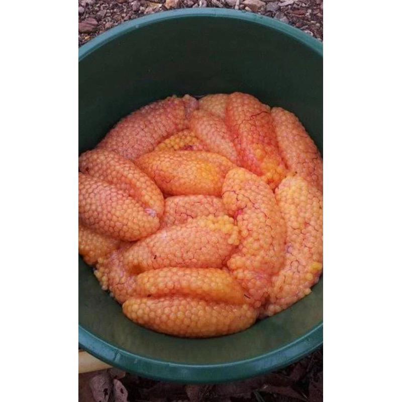 TELUR SEMBILANG 1KG