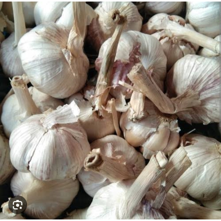 

bawang putih ( honan ) kotor 1kg