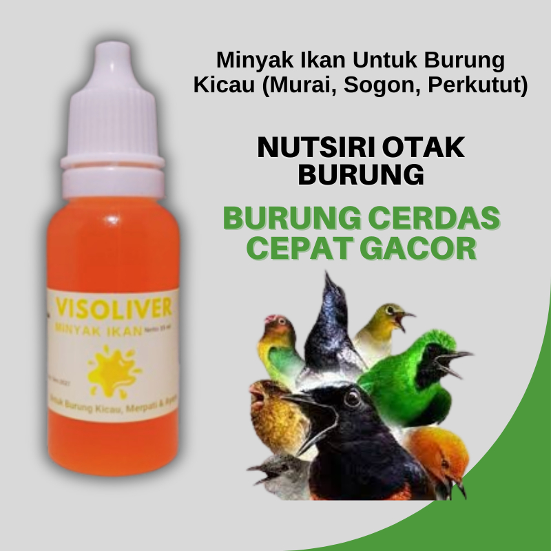 Visoliver Minyak Ikan Untuk Burung Kicau Sebagai Vitamin Nutrisi Otak Burung Murai Sogon Perkutut
