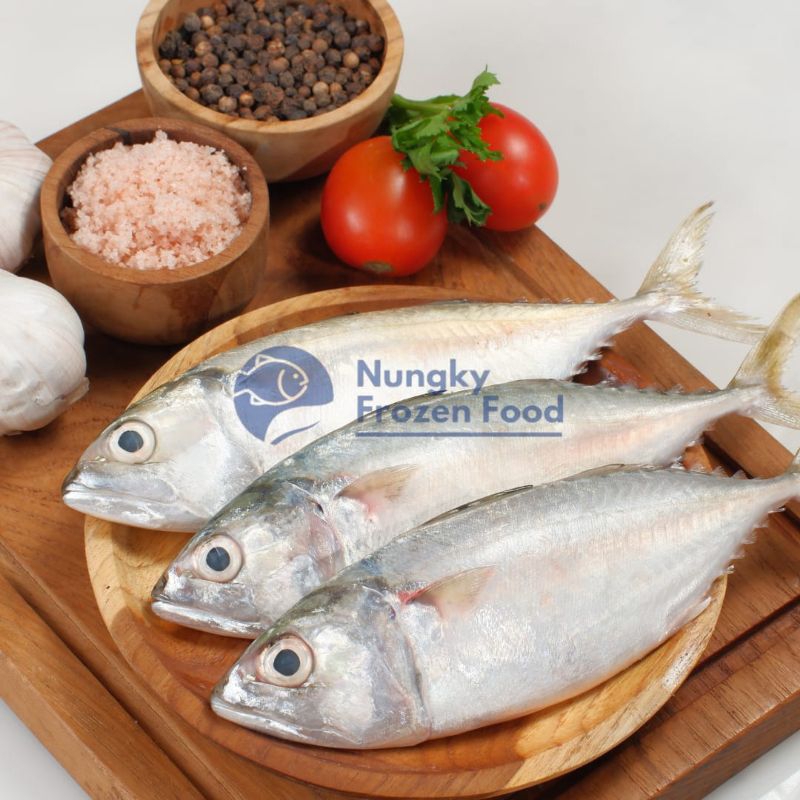 

Ikan kembung 500grm (isi 3 biji) besar premium. Ikan kembung/kembung frozen/ikan kembung frozen