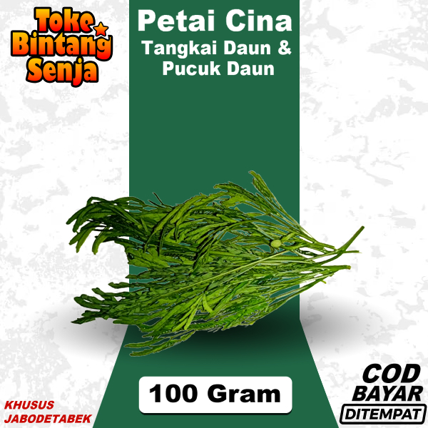 

Petai Cina Daun Tua Dan Pucuk 100 Gram Untuk Seupan Lalapan Rebus Urap
