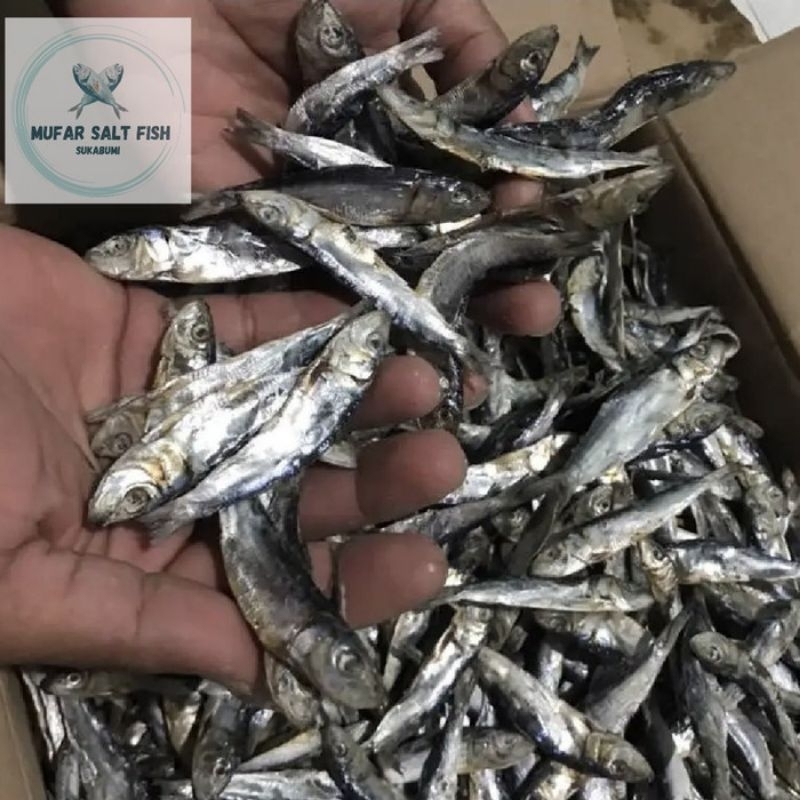 

ikan asin teri samenit/teri lemet/teri hitam tawar 1 kg kualitas super