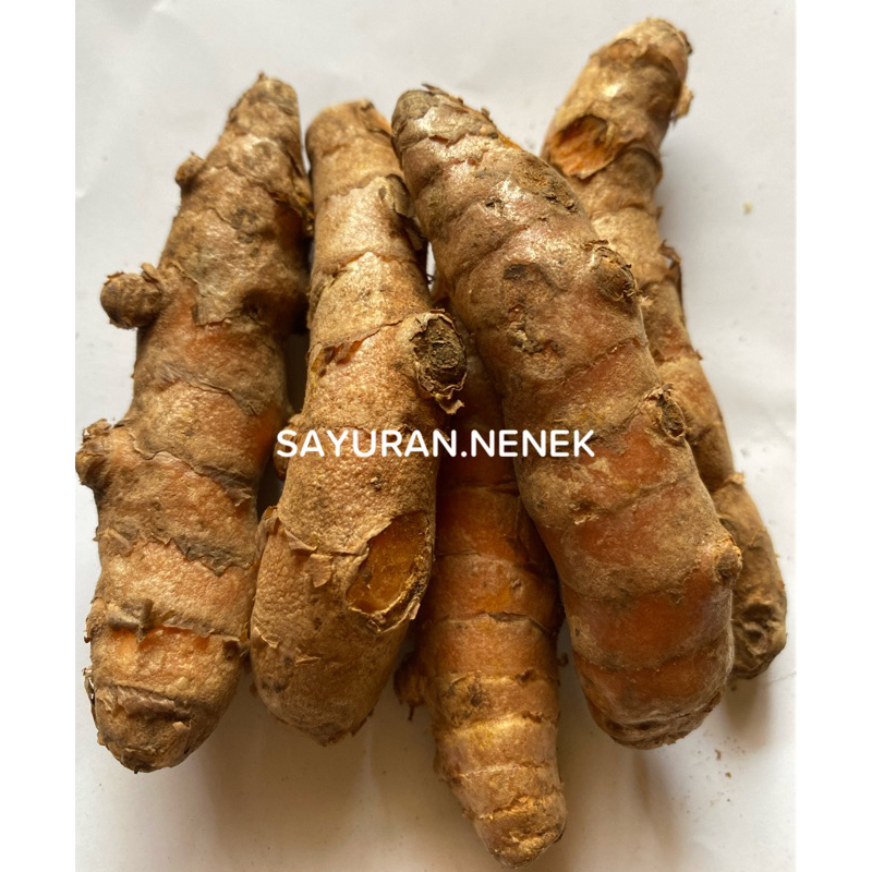 

kunyit segar 200gr