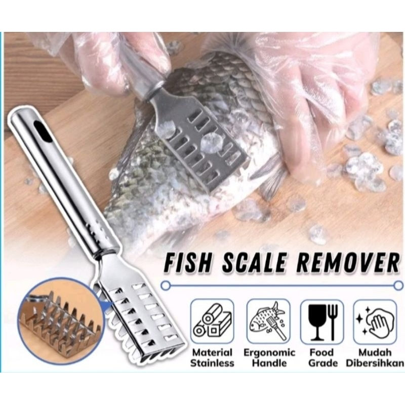 Pisau Pembersih Sisik Ikan/ Pisau Sisik Ikan/ Pengupas Sisik Stainless Steel