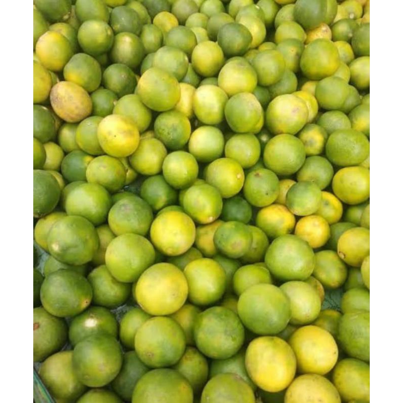 

jeruk nipis 500g