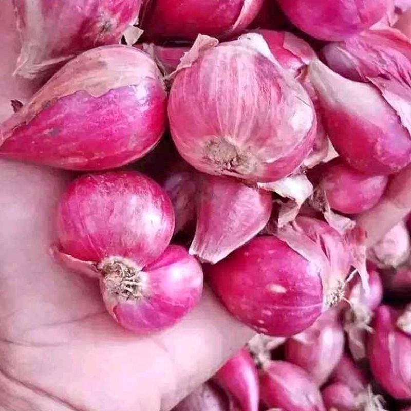 

BAWANG MERAH 1 KG