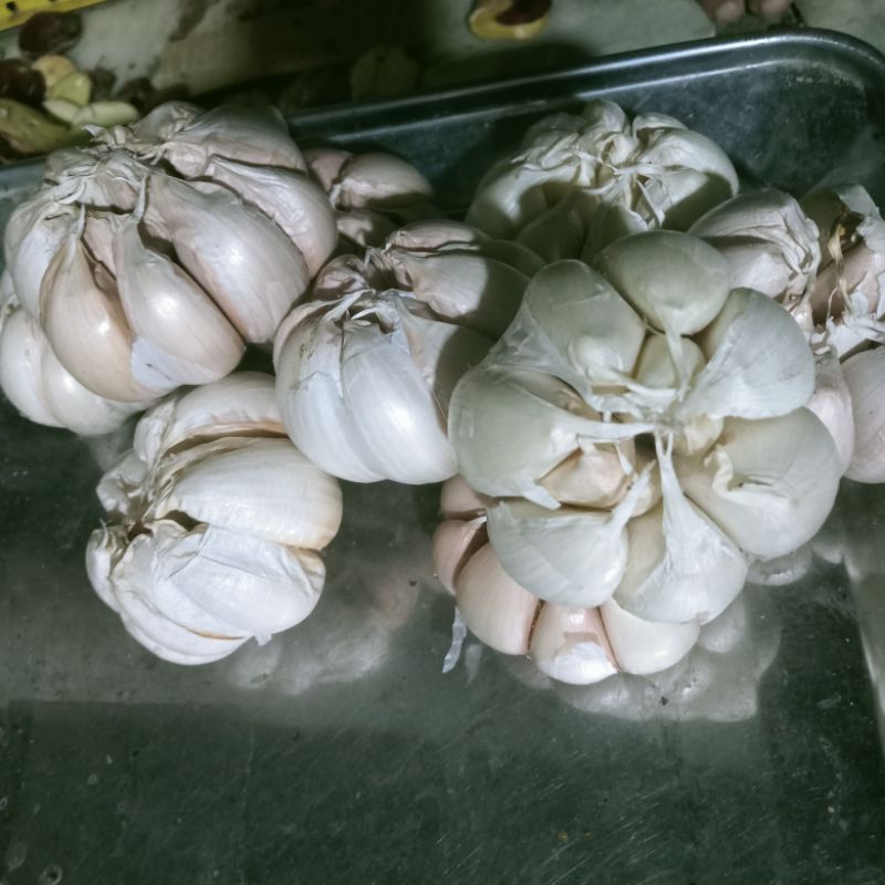 

bawang putih murah/ bawang putih besar / bawang putih super besar gret A