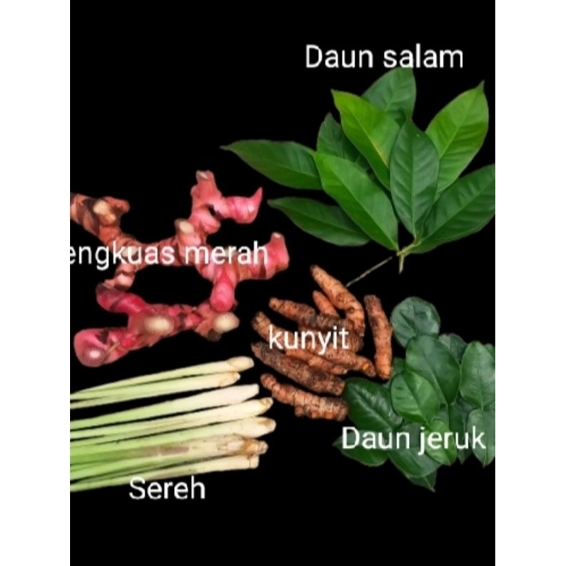 

PAKET BUMBU DAPUR LENGKAP FRESH/ STOK BANYAK