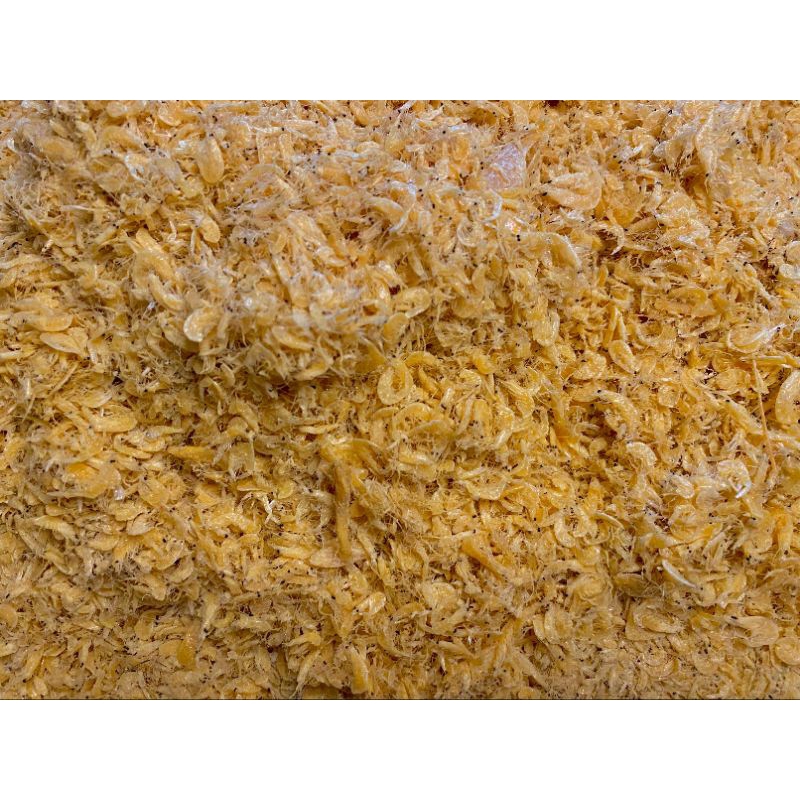 

Udang rebon kering