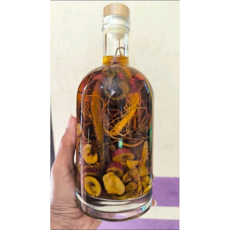 

rendaman kudalaut ginseng