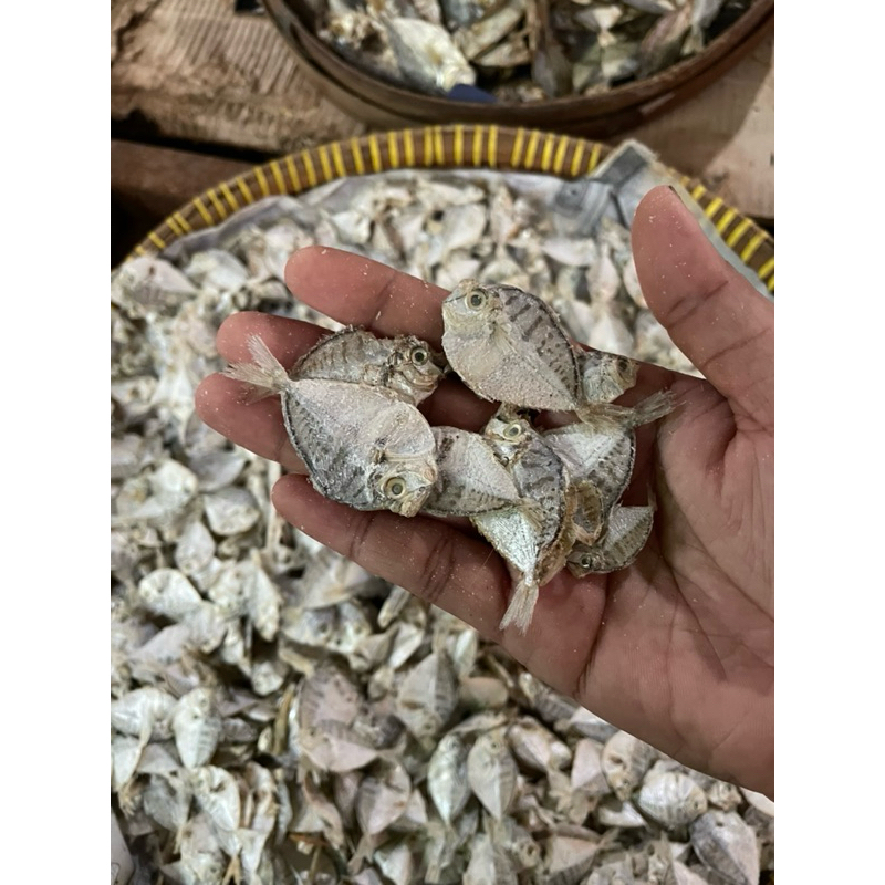 

IKAN ASIN KEMPAR / DODOK