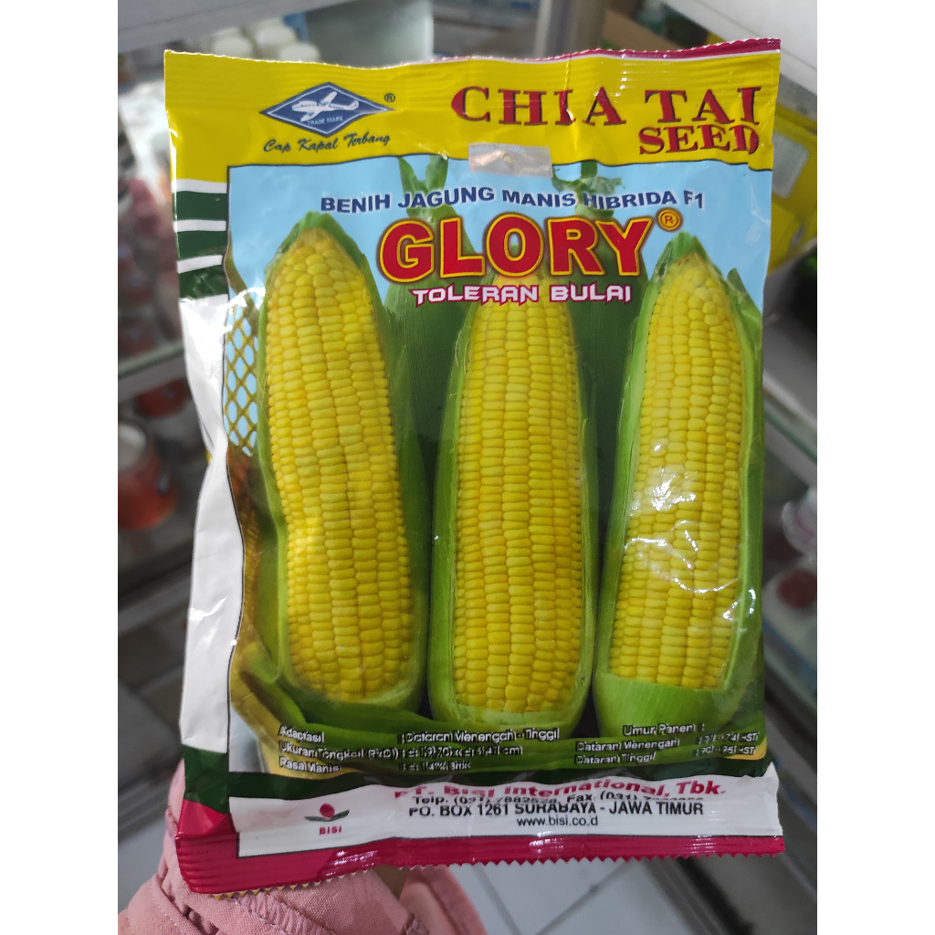 

Benih Jagung Manis Glory 250 gram