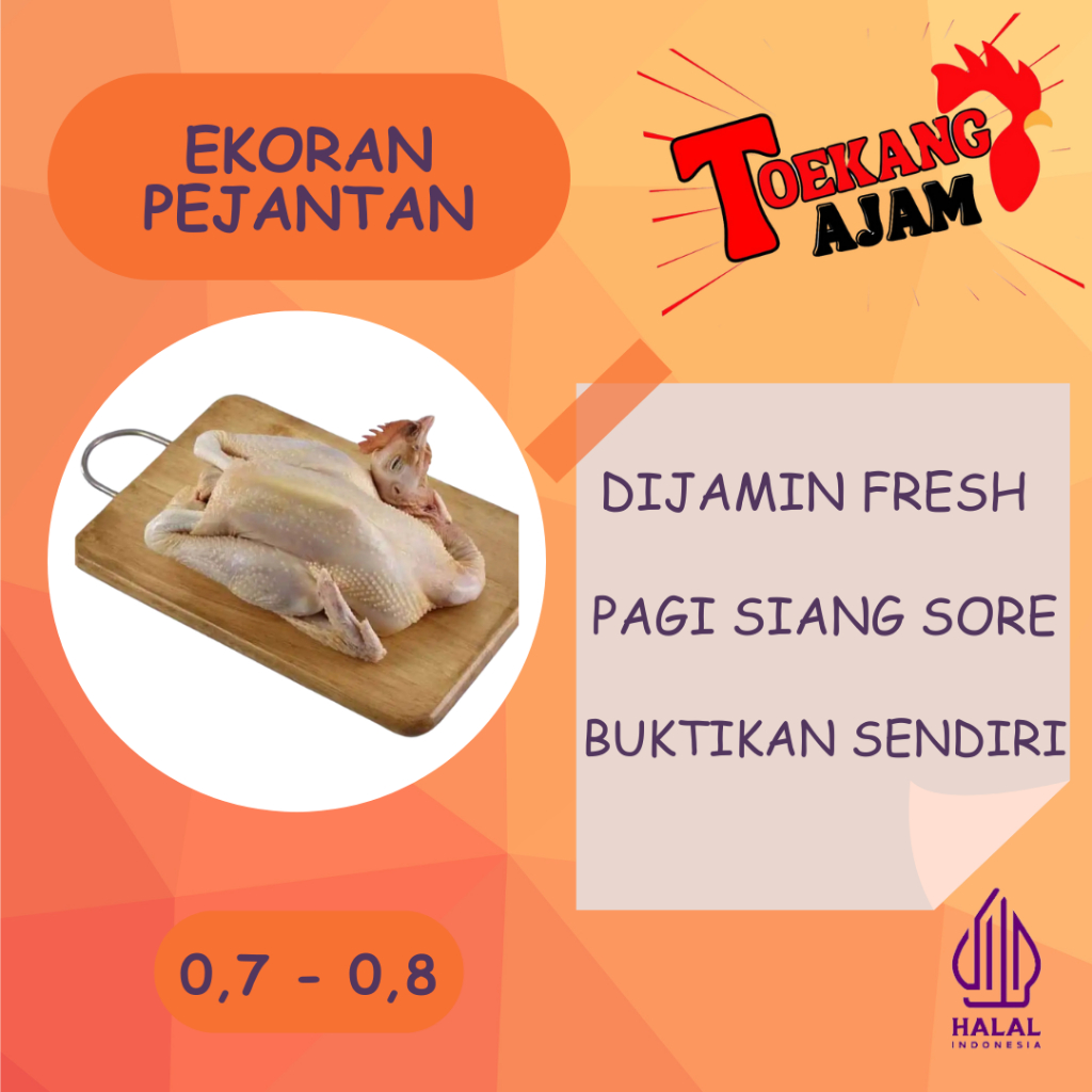 

EKORAN AYAM PEJANTAN 0.7 - 0.8 GRAM BISA POTONG