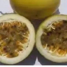 

buah markisa ungu 500 gr