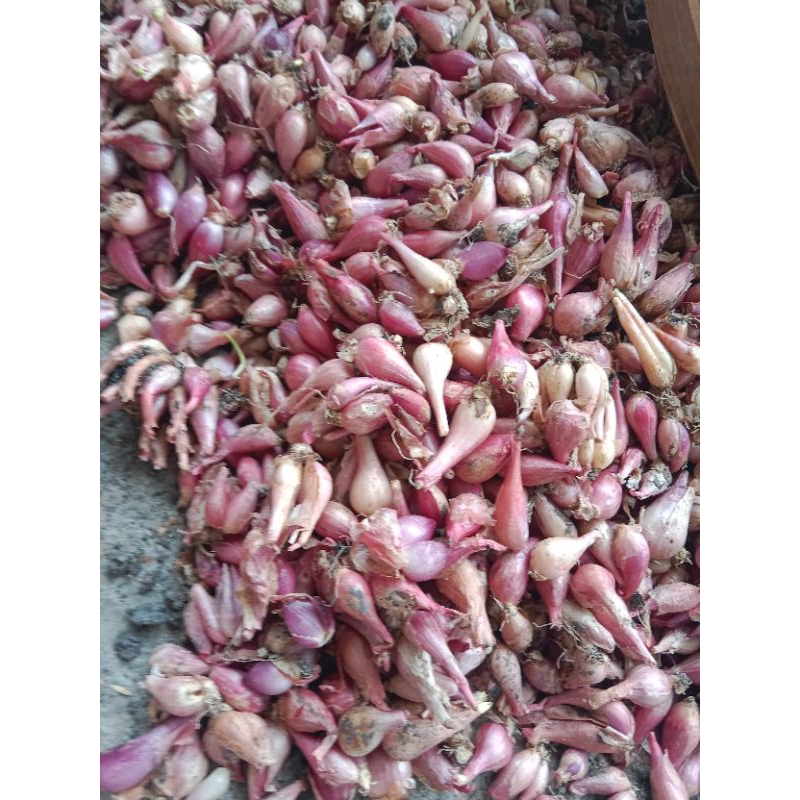 

bawang merah 500gr asli nganjuk