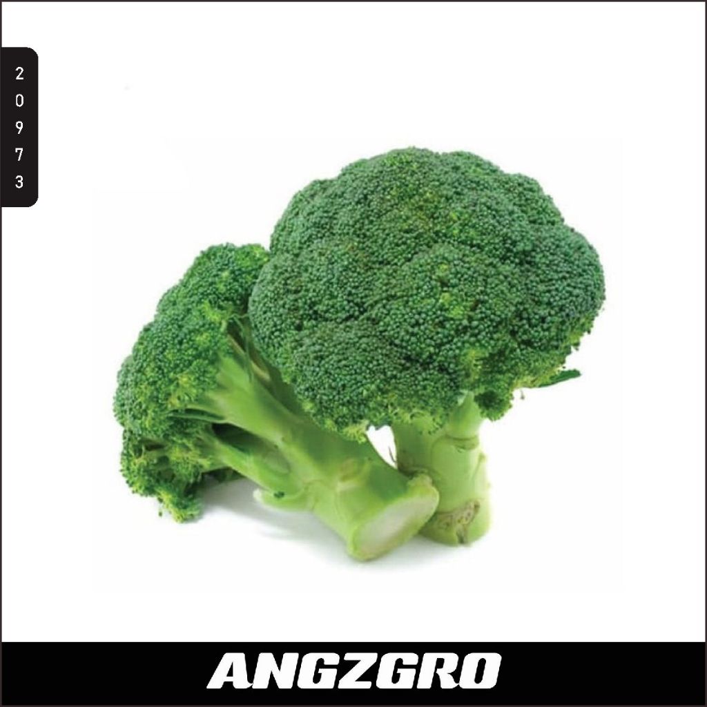 

Sayur Brokoli Hijau 500 gr