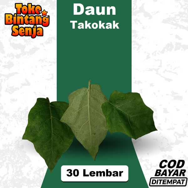 

Daun Takokak 30 Lembar Segar Mudah Kering