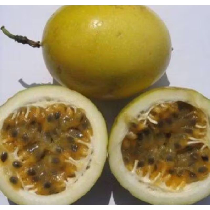 

buah markisa kuning