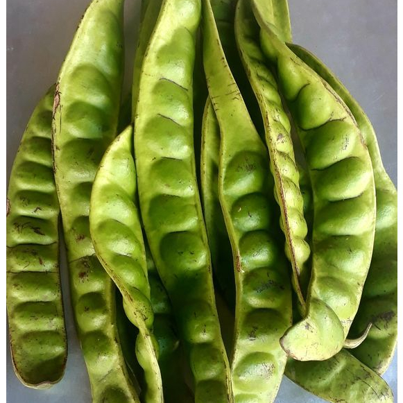

pete tua murah petei padi wonogiri kemasan 1 Kg bergaransi