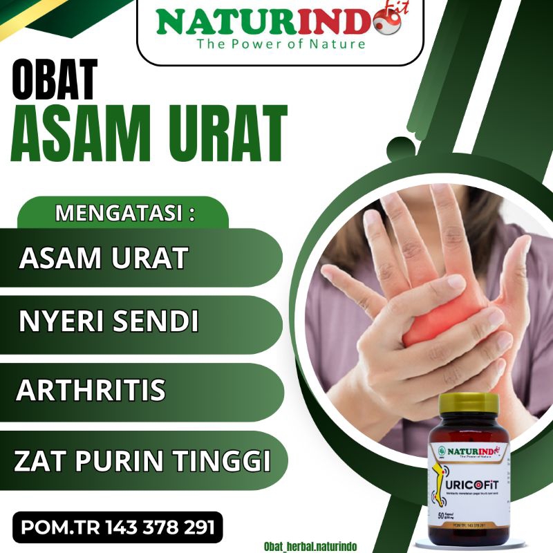 Obat Asam Urat Ampuh Obat Herbal Asam Urat Jamu Asam Urat URICOFIT Naturindo obat herbal BPOM COD