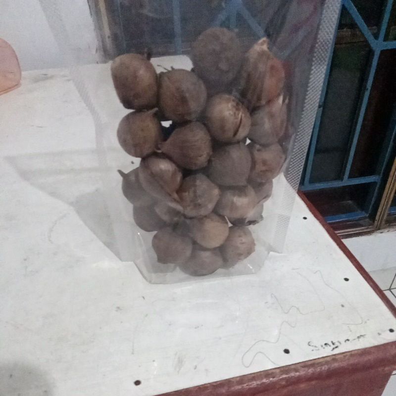 

Bawang Tunggal Hitam, 250 g