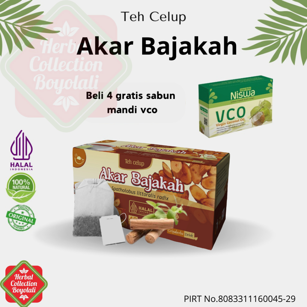 

Teh herbal Akar bajakah griya herba isi 20 kantong teh celup membantu memelihara kesehatan penderita kanker