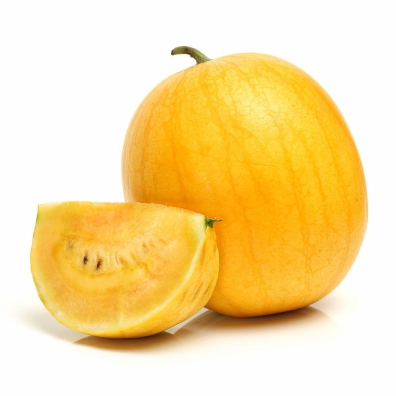 2 Biji Benih Semangka Golden Bibit Buah Unggul