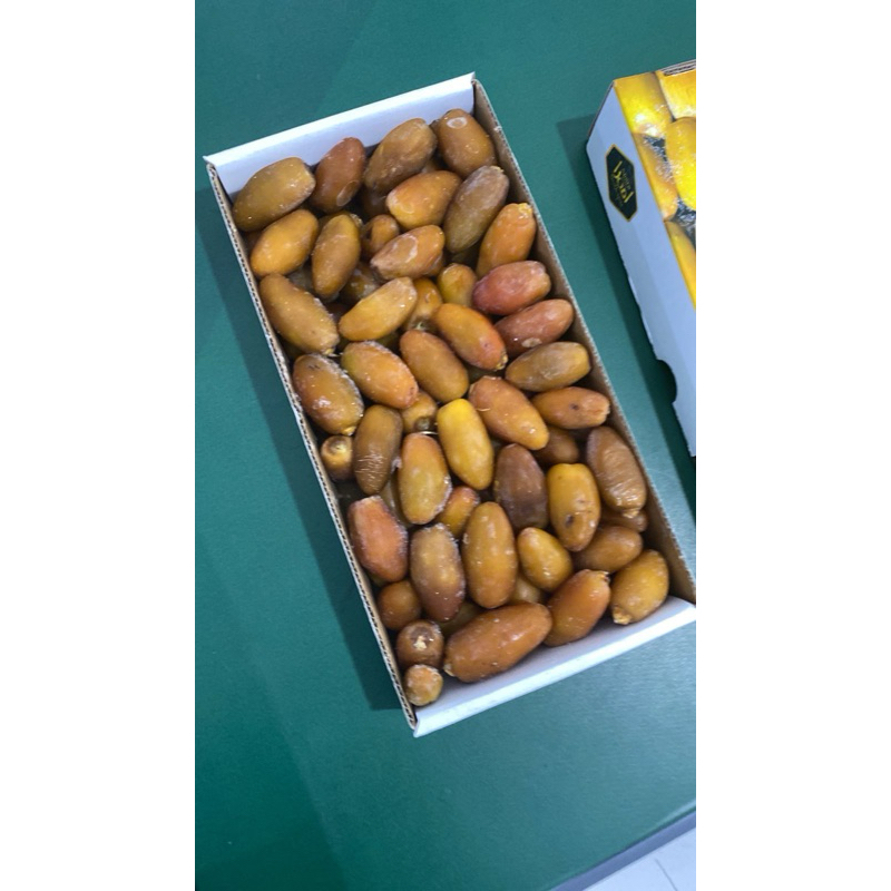 

KURMA MUDA